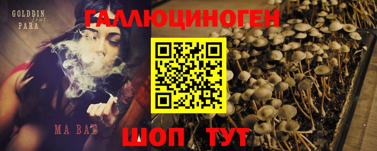 Галлюциногенные грибы Magic Shrooms Кизляр