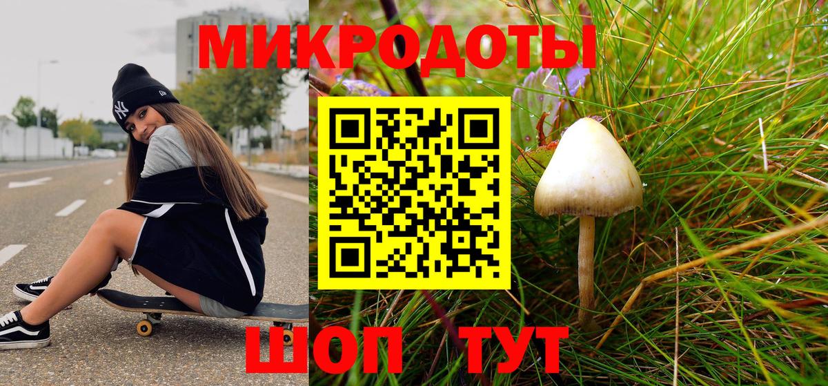 Кизляр  Псилоцибиновые грибы Cubensis  Вход с VPN 